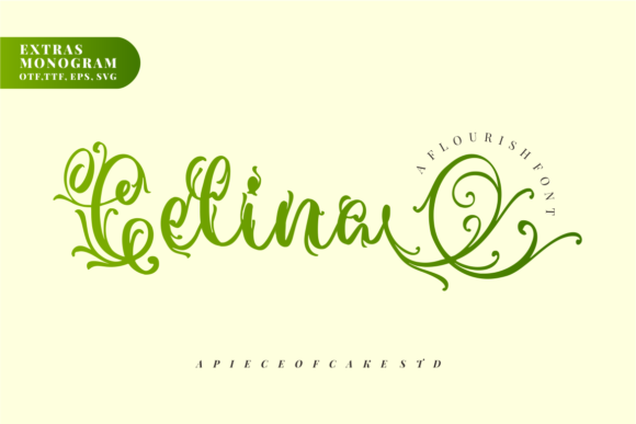 Celina Duo: A Magical Script Font for Makers