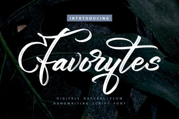 Favorytes: A Dazzling Script Font for Brand Identity
