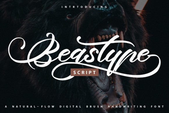 How Choosing the Right Font Transformed My Small Business Brand