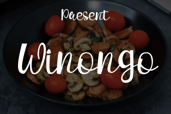 Winongo: A Handwritten Font That Elevates Editorial Design